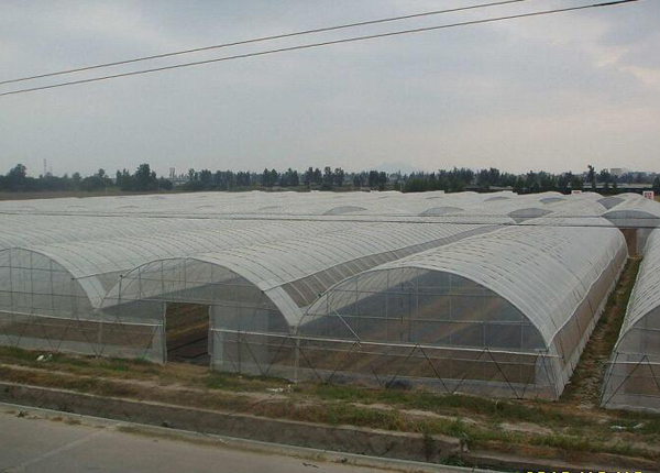 溫室大棚空間如何選擇?