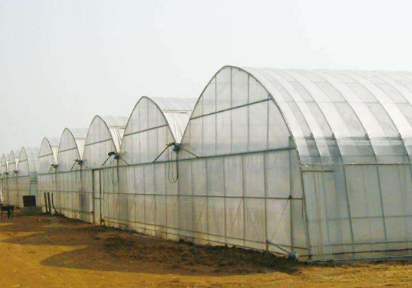 危害溫室大棚品質的因素有什么