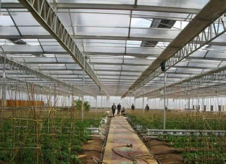 溫室大棚01150441094109.jpg 溫室大棚01150441094109.jpg